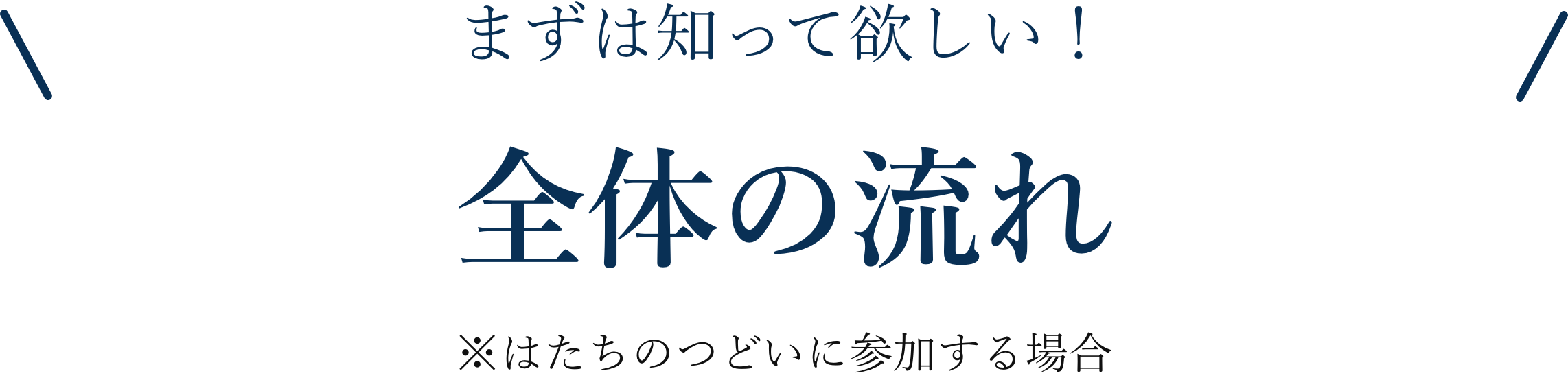 全体の流れ